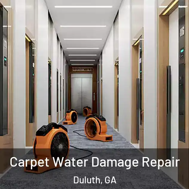  Carpet Water Damage Repair Duluth, GA