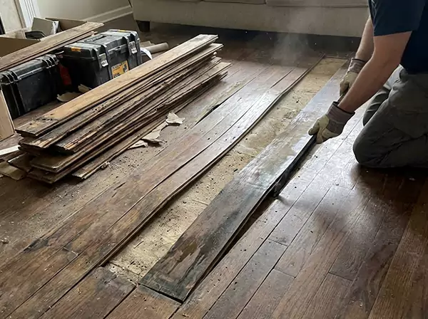 Water Damage Drying in Duluth