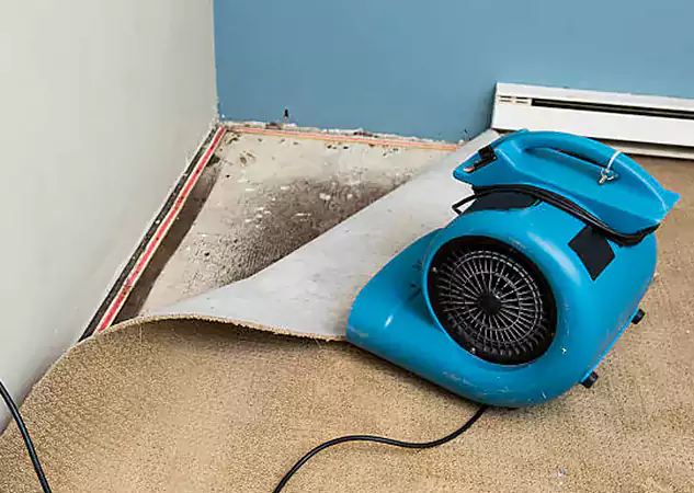Your Water Damage Experts in Duluth, GA