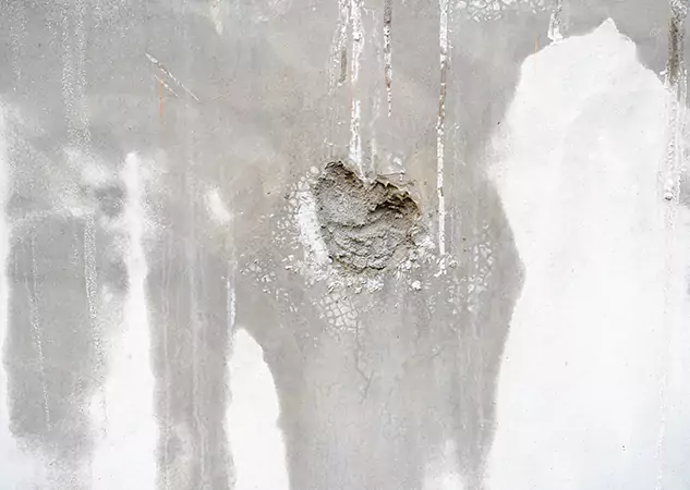 Your Mold Mitigation Solutions Partner in Duluth, GA