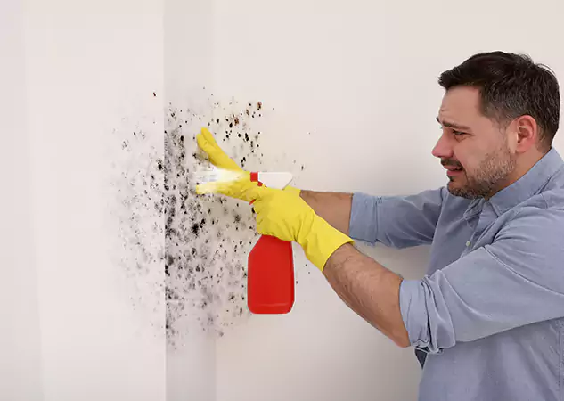 Your Water Mold Fire Restoration Partner in Duluth, GA
