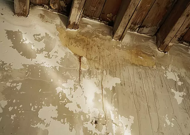 Your Trusted Restoration Company in Duluth, GA