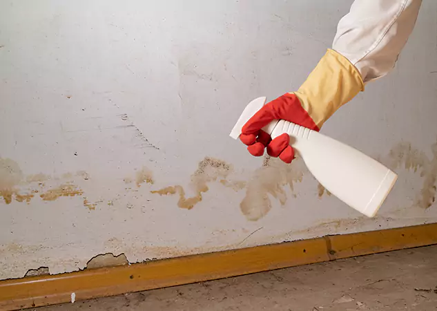 Your Water Restoration and Mold Remediation Specialists in Duluth, GA