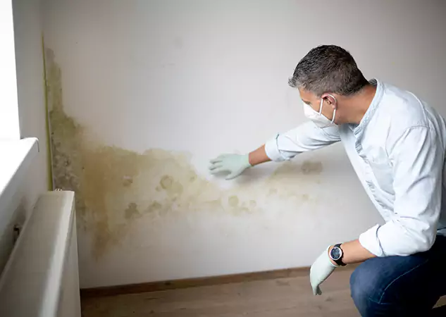 Reach Our Remediation Team Before Damage Grows in Duluth, GA!