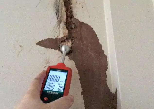 Your Water Damage Assessment Partner in Duluth, GA