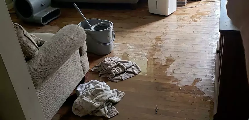 Professional Basement Water Remediation Services in Duluth, GA