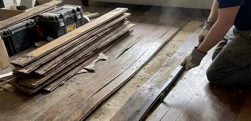 Wood Rot and Fungus Repair in Duluth