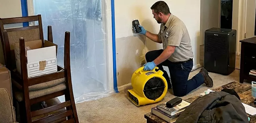 Carpet Water Damage Repair Duluth