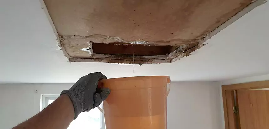 Ceiling Mold Repair Duluth 