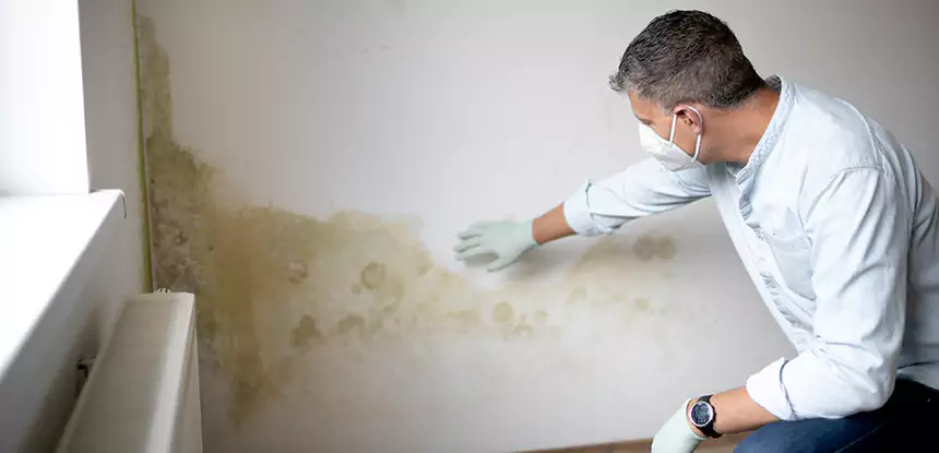 Mold and Water Damage Repair in Duluth