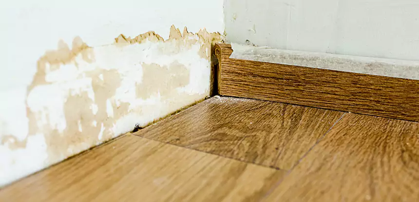 Professional Fix Water Damaged Wood Services in Duluth, GA