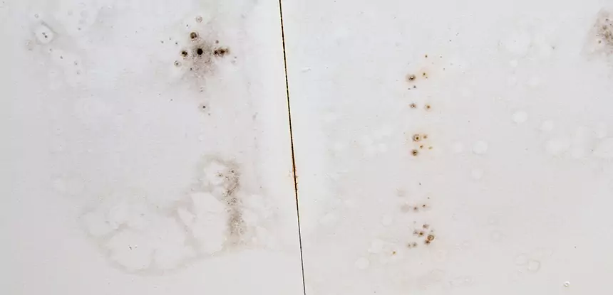 Professional Water Stain Repair Services in Duluth, GA