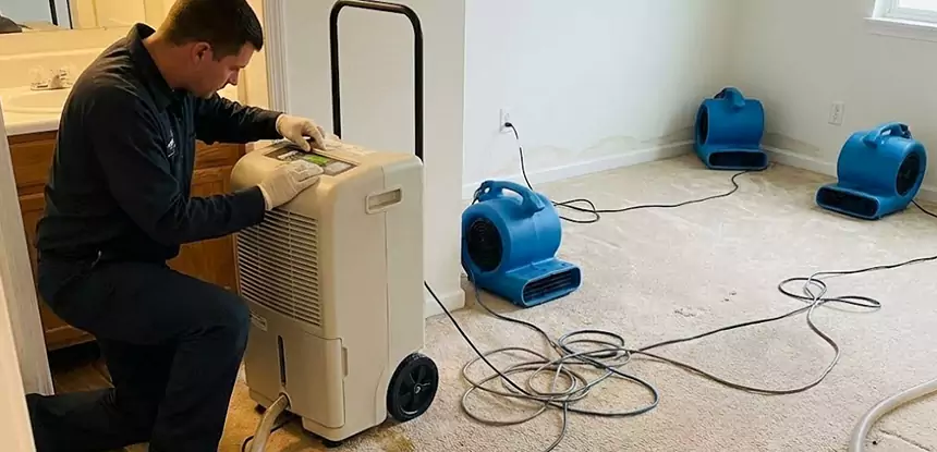 Professional Wet Carpet Removal Services in Duluth, GA