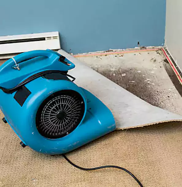 Why Duluth Trusts Duluth Restoration Pros for Carpet Flood Recovery?
