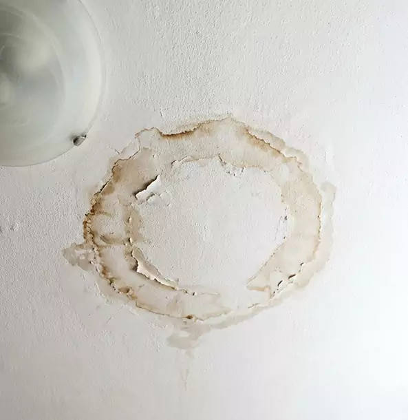 Why Duluth Property Owners Choose Duluth Restoration Pros for Ceiling Water Damage Restoration?