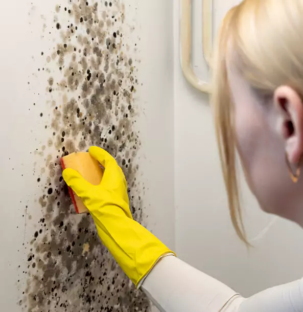 Why Duluth Restoration Pros Leads Mold Remediation in Duluth?