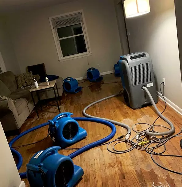 Why Duluth Property Owners Rely on Duluth Restoration Pros for Remediation?