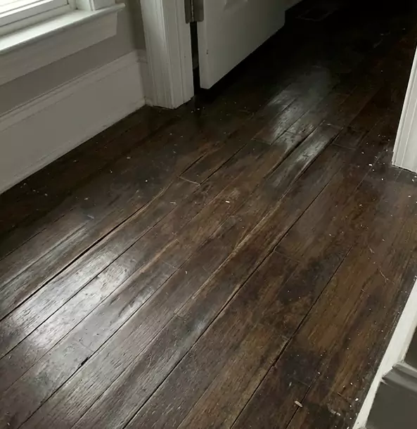Why Duluth Homeowners Trust Duluth Restoration Pros to Fix Water Damaged Wood?