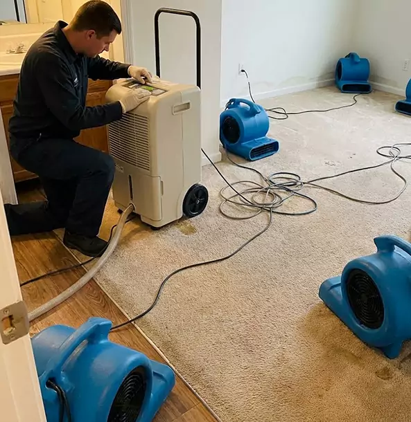 Why Duluth Homeowners and Businesses Trust Duluth Restoration Pros for Carpet Drying?