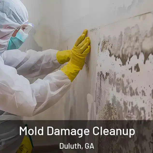  Mold Damage Cleanup Duluth, GA