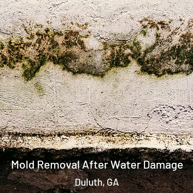  Mold Removal After Water Damage Duluth, GA