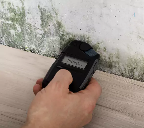 Mold Remediation Service Duluth