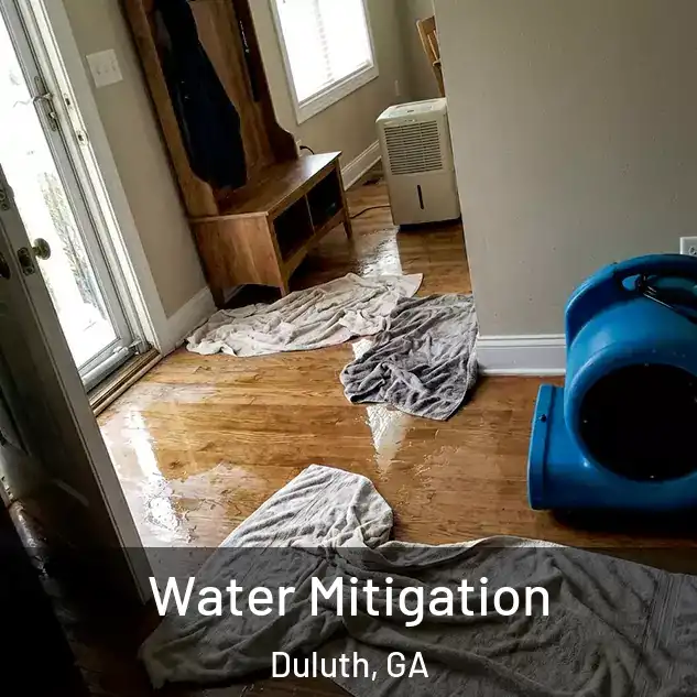  Water Mitigation Duluth, GA