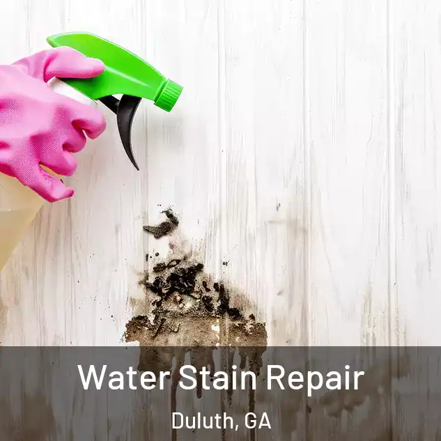  Water Stain Repair Duluth, GA